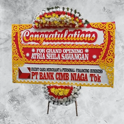 Aaera